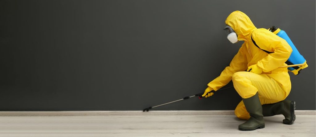 رش حشرات حولي شركة مكافحة حشرات - 965 517 60613