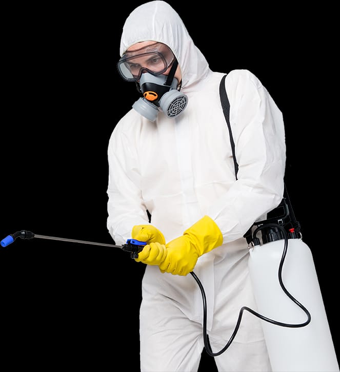 شركة رش صراصير مبارك الكبير - 965 517 60613