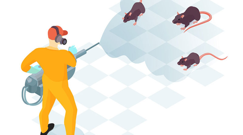 مكافحة الحشرات بالكويت: دليل شامل لحلول فعّالة - 51760613