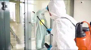 البق الفراش الأحمدي - 965 517 60613