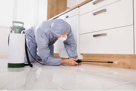 رش حشرات الكويت ورش مبيدات - 51760613