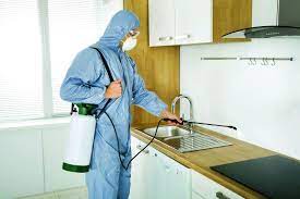 شركة مكافحة الحشرات في الكويت - 51760613