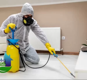 مكافحة حشرات الكويت - 51760613