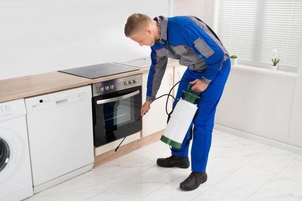 شركة حشرات في الكويت - 51760613