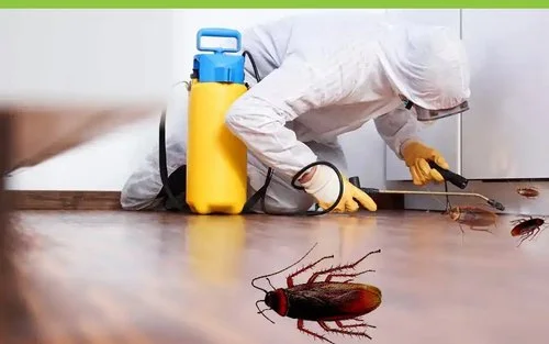 مكافحة الحشرات والصراصير -51760613