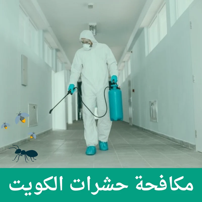 مكافحة الحشرات والصراصير -51760613